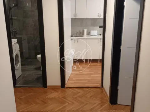 Izdavanje, dvosoban stan, 59m², Savski Venac, Beograd - image 3