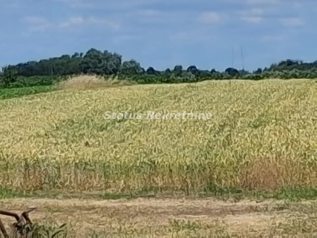 Prodaja, plac, 5738m², Begeč, Novi Sad Sve Podlokacije