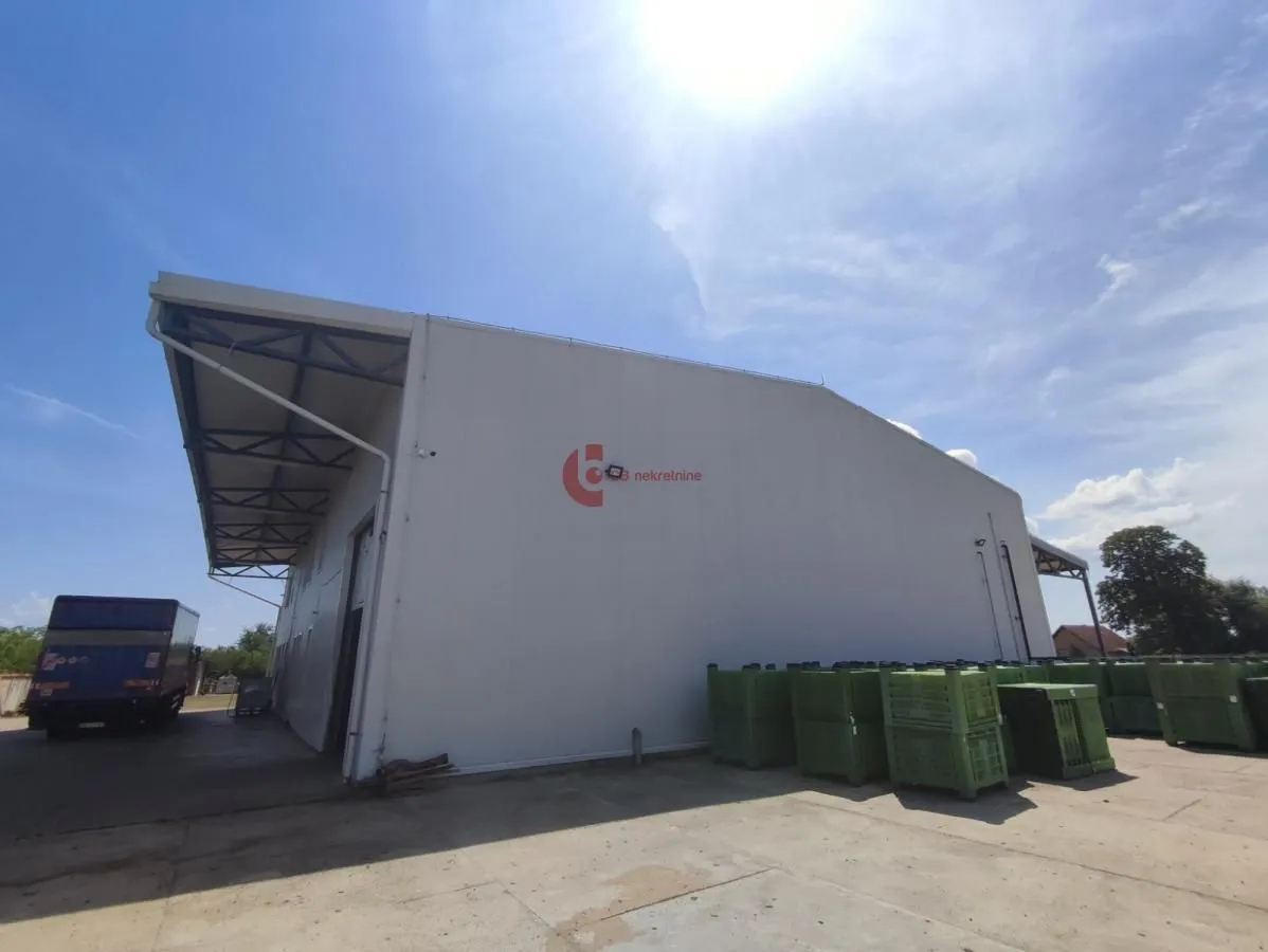 Rent, office space, 665m², Bački Vinogradi, Subotica