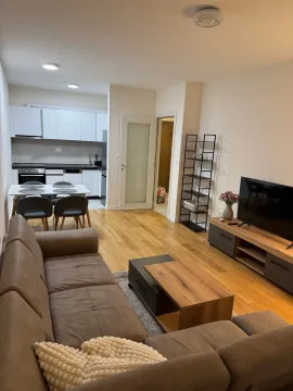 Izdavanje, jednosoban stan, 50m², Central Point, Podgorica - image 1