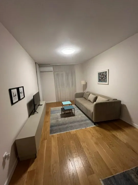 Izdavanje, jednosoban stan, 45m², Central Point, Podgorica