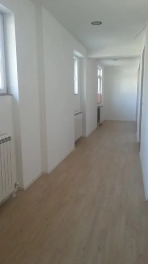 Rent, office space, 240m², Zemun Sve Podlokacije, Beograd