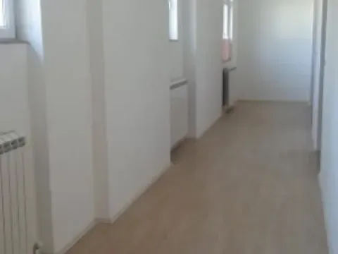 Izdavanje, poslovni prostor, 240m², Zemun Sve Podlokacije, Beograd - image 14