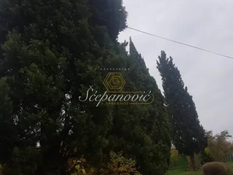 Prodaja, plac, 11850m², Banja Vrdnik, Irig - image 3