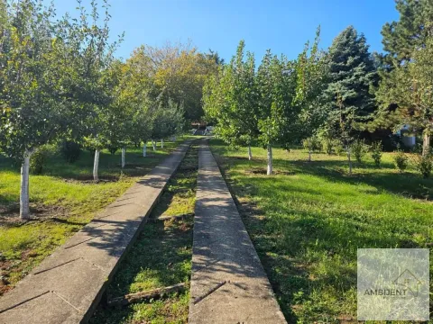 Sale, house, 165m², Stari Slankamen, Inđija