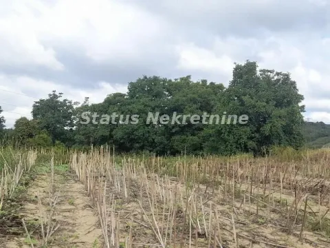 Pogled na zemljište sa rastinjem i drvećem u pozadini. - image 4