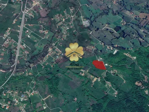 Prodaja, plac, 2500m², Crnci, Podgorica - image 3