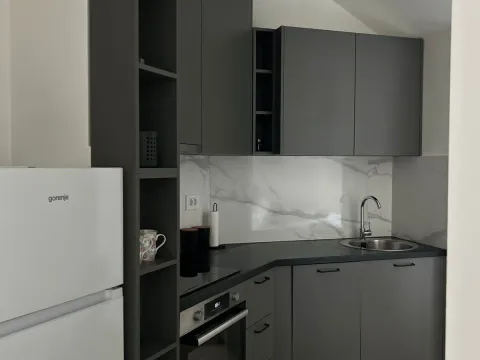 Rent, one bedroom apartment, 44m², Zagorič, Podgorica - image 4