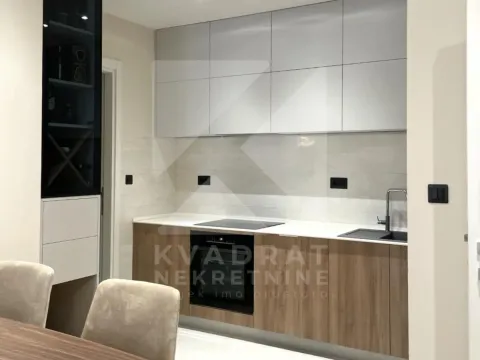 Izdavanje, jednosoban stan, 53m², Central Point, Podgorica - image 6