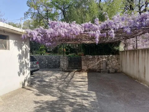 Prodaja, kuća, 350m², Vranići, Podgorica - image 3