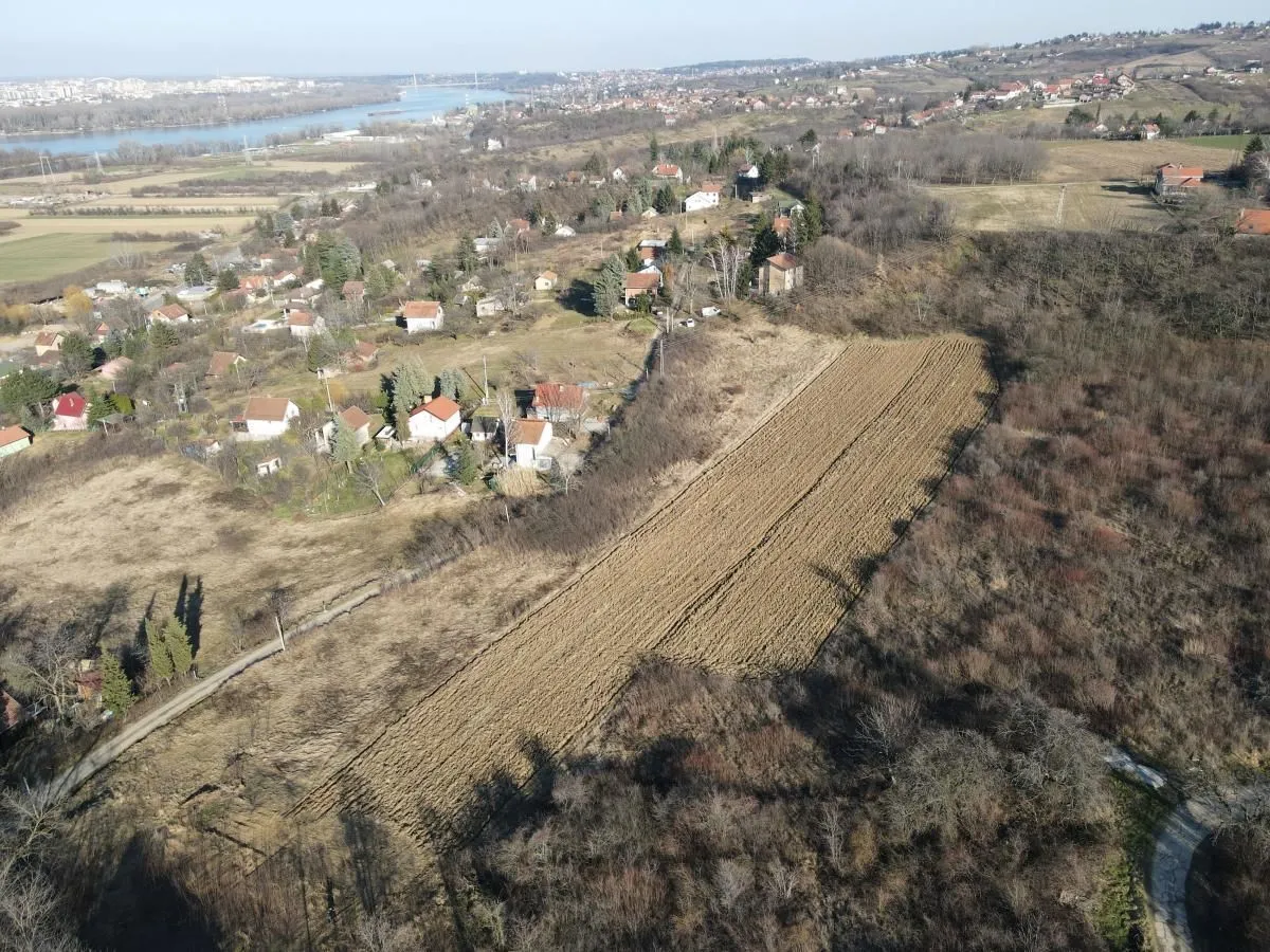 Prodaja, plac, 7627m², Ledinci, Petrovaradin
