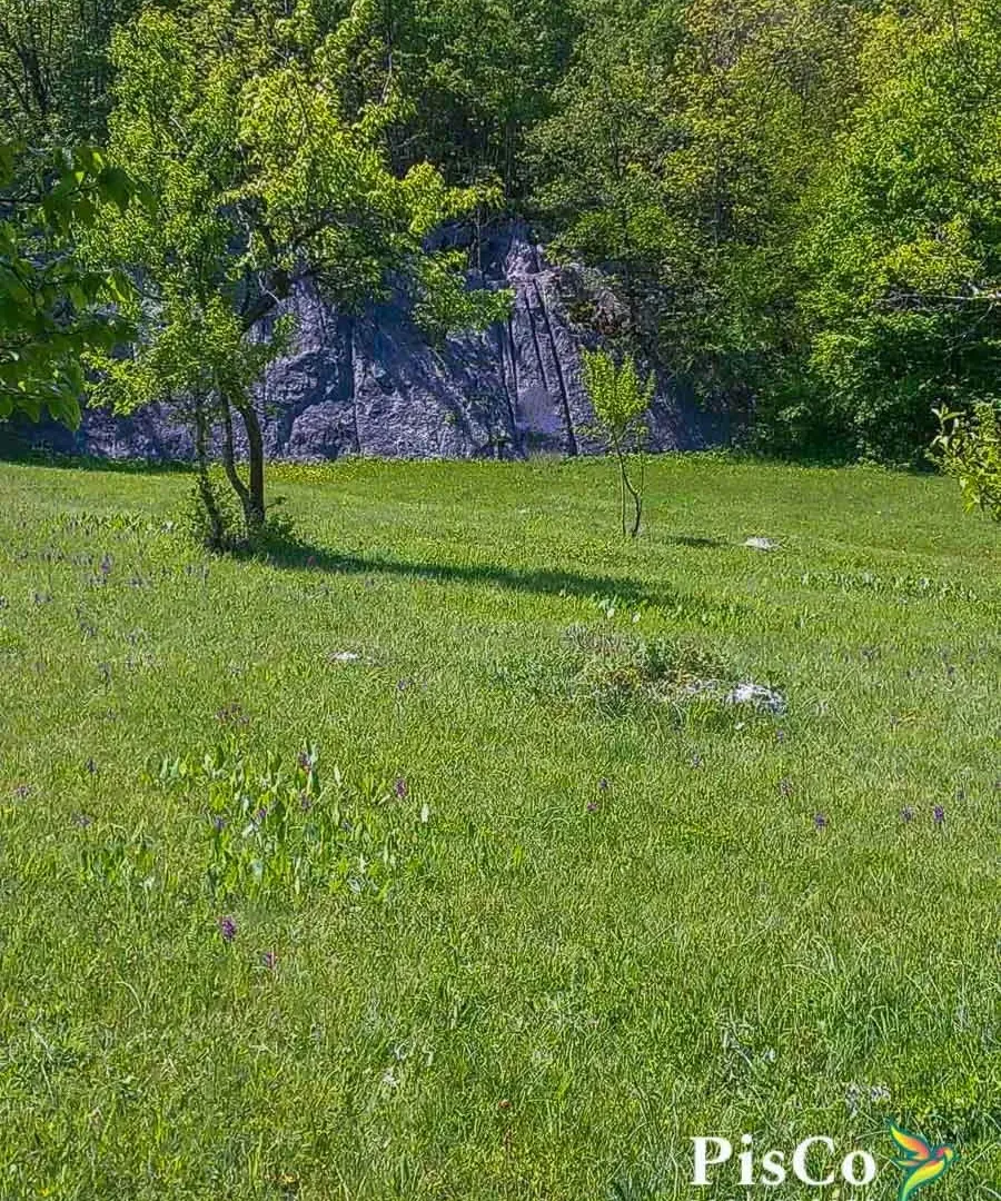 Prodaja, plac, Nikšić, Crna Gora