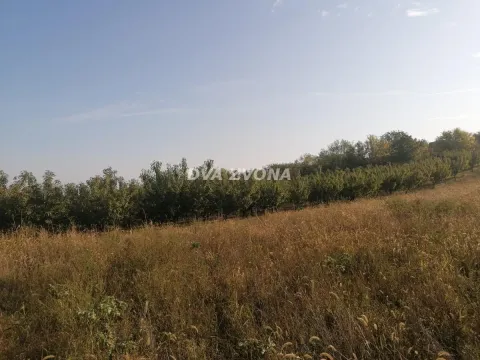 Sale, land lot, 114m², Krčedin, Inđija - image 5