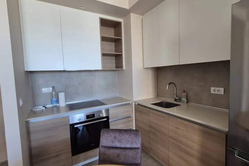 Izdavanje, dvosoban stan, 53m², Beograd Na Vodi, Beograd