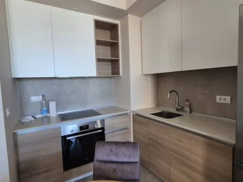 Izdavanje, dvosoban stan, 53m², Beograd Na Vodi, Beograd - image 3