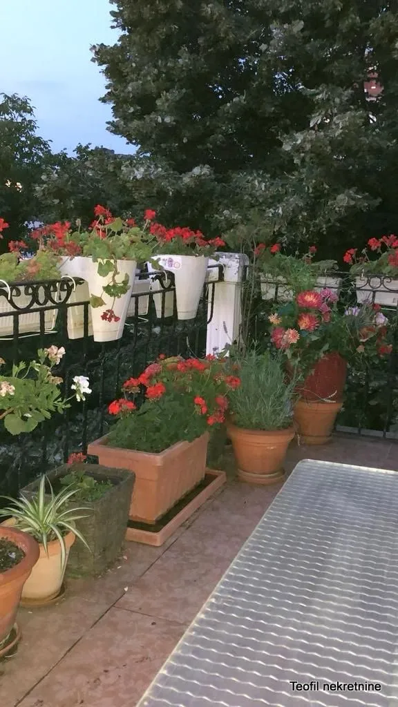 Izdavanje, dvosoban stan, 55m², Profesorska Kolonija, Palilula Sve Podlokacije