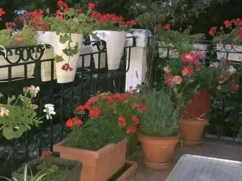 Izdavanje, dvosoban stan, 55m², Profesorska Kolonija, Palilula Sve Podlokacije - image 18