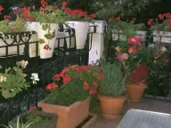 Izdavanje, dvosoban stan, 55m², Profesorska Kolonija, Palilula Sve Podlokacije - image 18