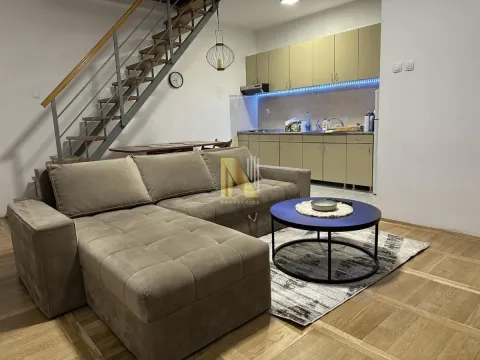 Izdavanje, dvosoban stan, 60m², Centar, Novi Sad