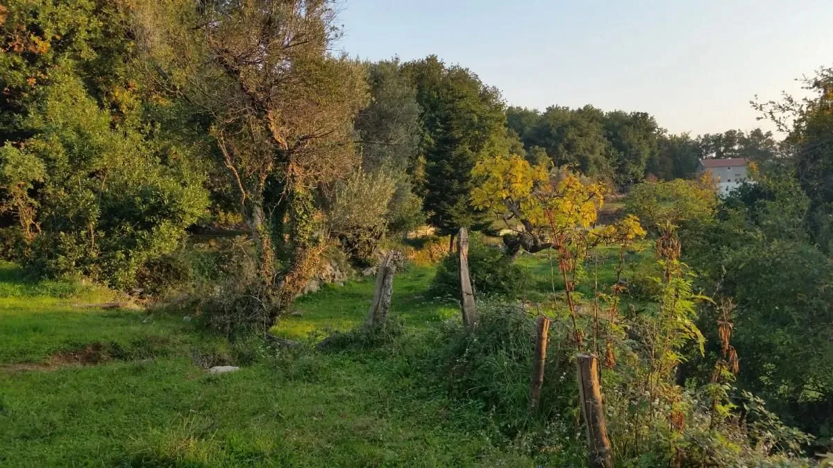 Prodaja, plac, 1500m², Podi, Herceg Novi