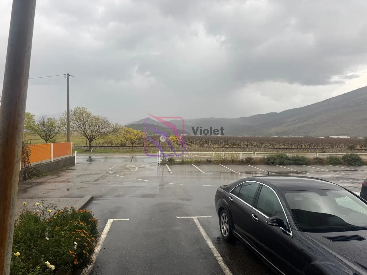 View of the parking lot in front of the building with surrounding landscape.