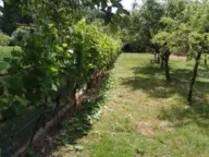 Prodaja, kuća, 1300m², Danilovgrad, Crna Gora - image 3