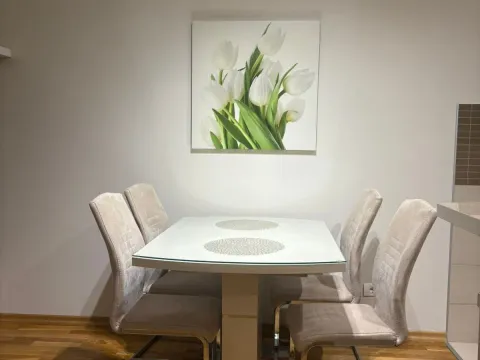 Izdavanje, jednosoban stan, 55m², City Kvart, Podgorica - image 8