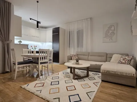 Rent, one bedroom apartment, 46m², Nova Dalmatinska, Podgorica - image 1