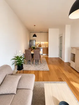 Izdavanje, jednosoban stan, 49m², Central Point, Podgorica - image 2