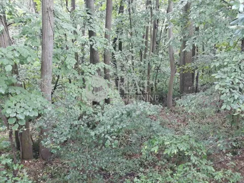 Prodaja, plac, 4000m², Voždovac Sve Podlokacije, Beograd - image 8