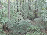 Prodaja, plac, Voždovac Sve Podlokacije, Beograd - image 8