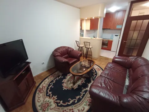 Rent, one bedroom apartment, 45m², Stari Aerodrom, Podgorica - image 4