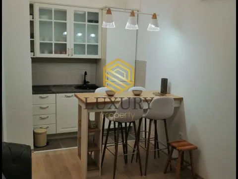Izdavanje, jednosoban stan, 36m², Centar, Podgorica - image 7