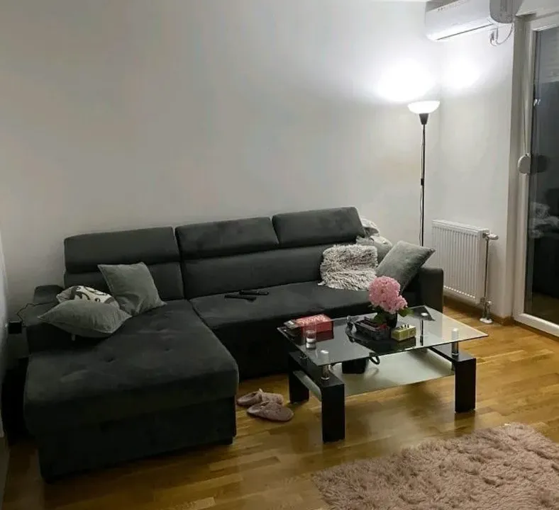 Izdavanje, jednosoban stan, 45m², Petrovaradin, Novi Sad