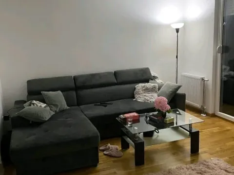 Izdavanje, jednosoban stan, 45m², Petrovaradin, Novi Sad