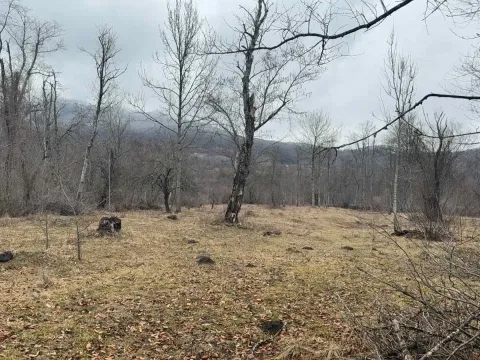 Prodaja, plac, 6750m², Kolašin, Crna Gora