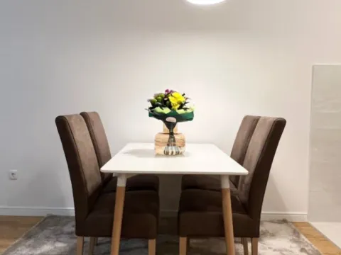 Izdavanje, jednosoban stan, 49m², Central Point, Podgorica