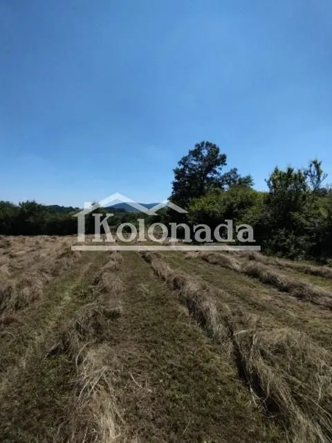 Prodaja, plac, 21800m², Babe, Sopot