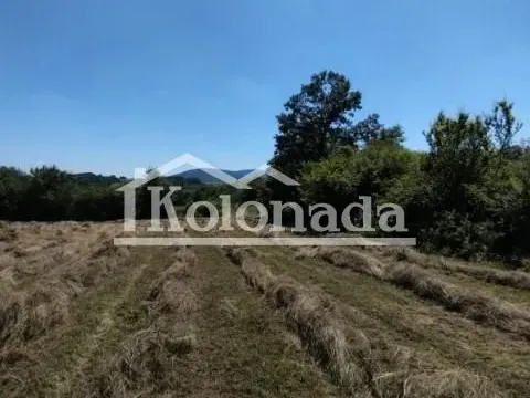 Sale, land lot, 21800m², Babe, Sopot - image 3