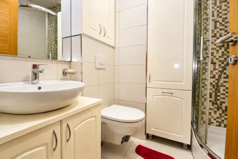 Bright bathroom with a washbasin, toilet, and shower cabin. - image 8