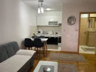 Izdavanje, jednosoban stan, 45m², Stari Aerodrom, Podgorica - image 10