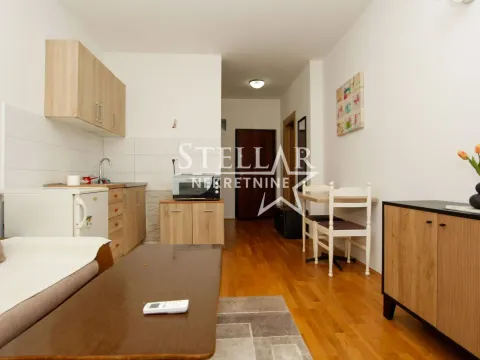 Izdavanje, stan, 25m², Stari Aerodrom, Podgorica - image 7