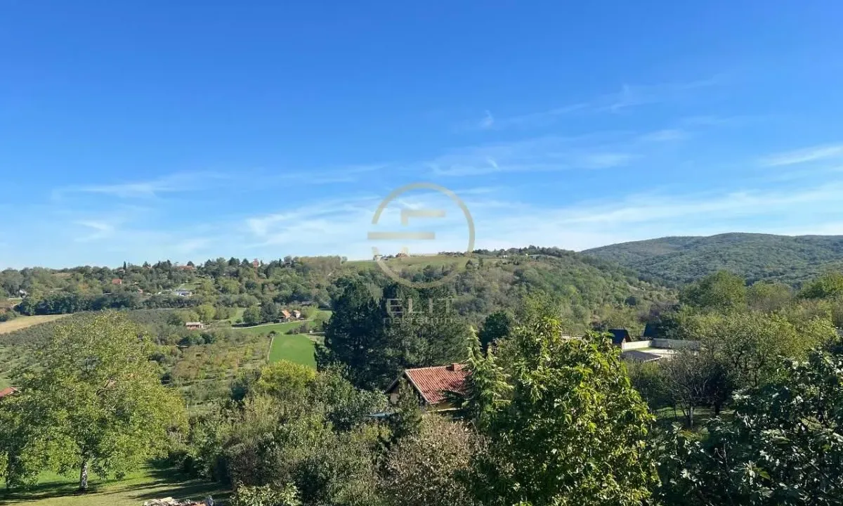 Sale, house, 226m², Sremska Kamenica, Petrovaradin