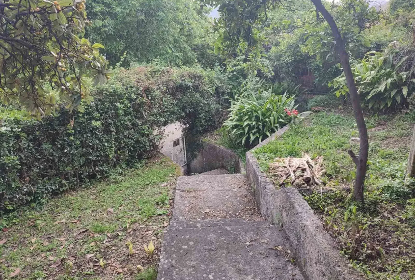 Prodaja, kuća, 150m², Herceg Novi, Crna Gora