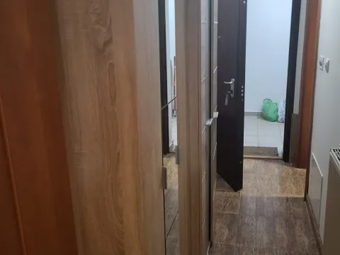 Izdavanje, garsonjera, 39m², Budva, Crna Gora - image 4