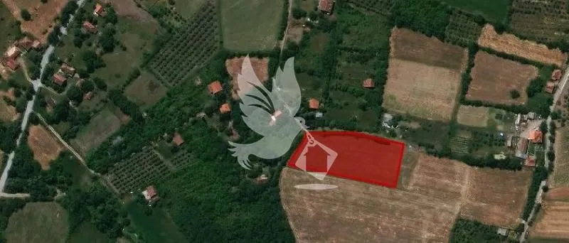 Sale, land lot, 4000m², Koraćica, Mladenovac