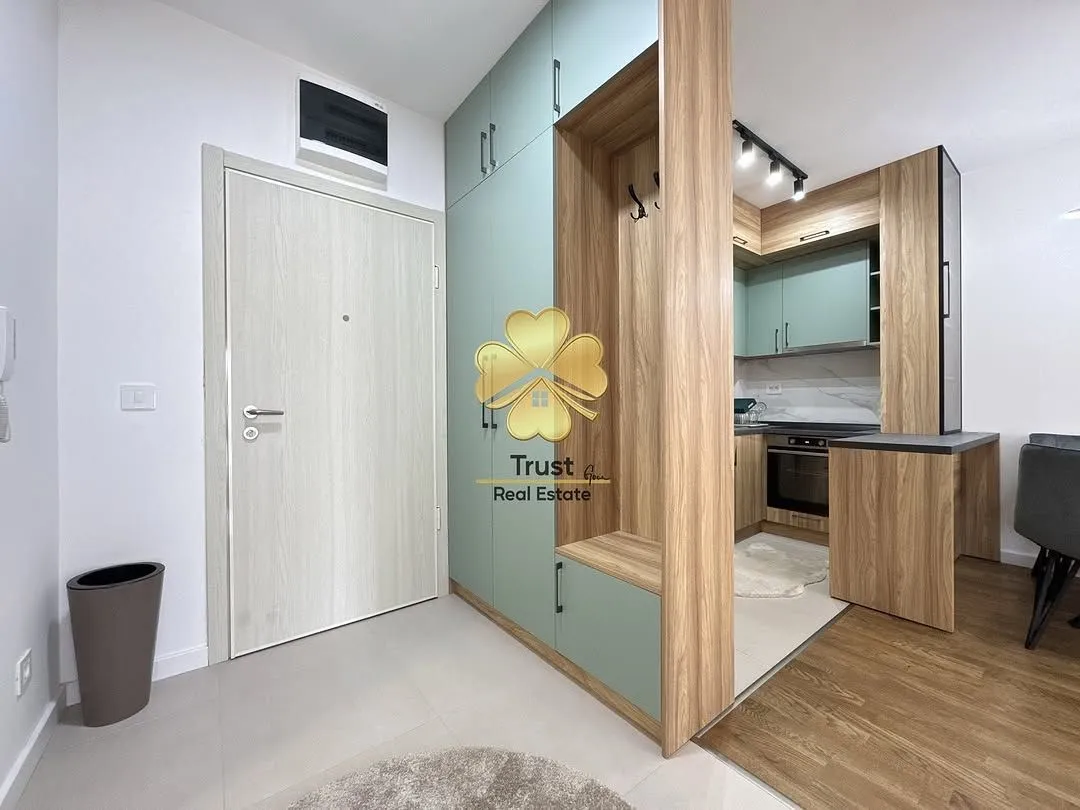 Rent, one bedroom apartment, 45m², Zagorič, Podgorica