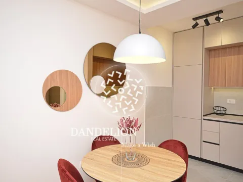 Izdavanje, jednosoban stan, 46m², Central Point, Podgorica - image 10