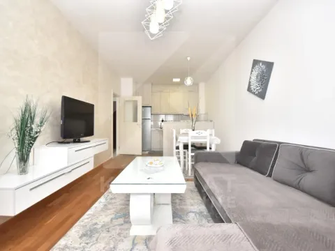 Izdavanje, jednosoban stan, 46m2, Stari Aerodrom, Podgorica Izdavanje, jednosoban stan, 46m2, Stari Aerodrom, Podgorica