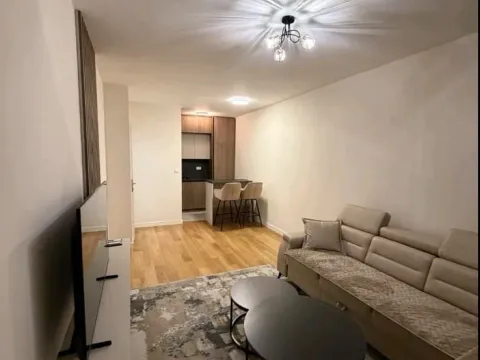 Izdavanje, jednosoban stan, 49m², Central Point, Podgorica - image 11